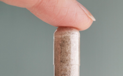 Suppléments nouvelle ère : fermentation, microcapsules, adaptogènes, beauté inside-out explosent 2024